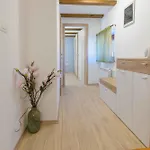 In - Vakantiehuis Vodnjan